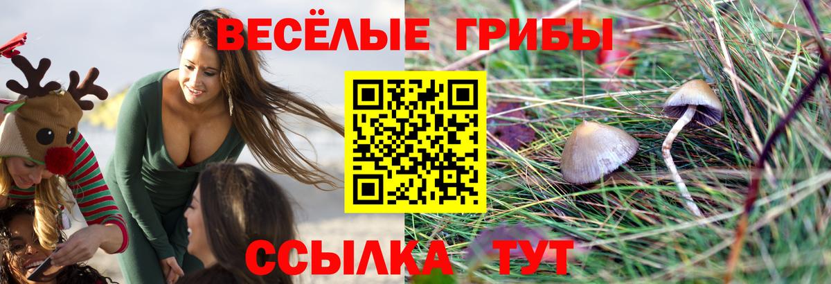 Галлюциногенные грибы прущие грибы  Вход с VPN  Анапа 